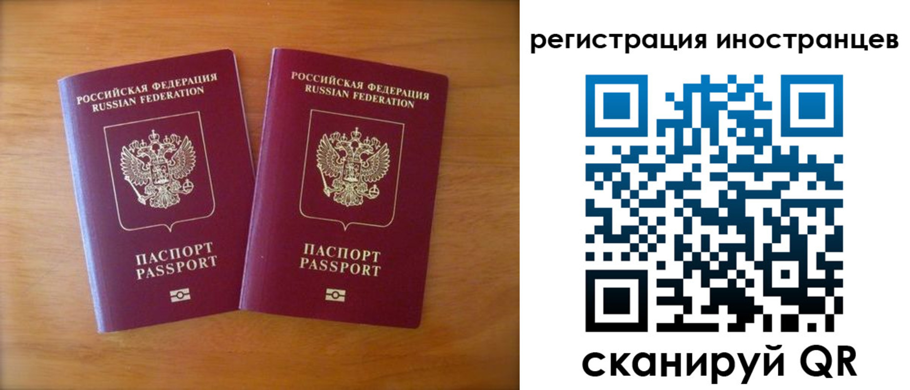 прописка поиск в Заинске
